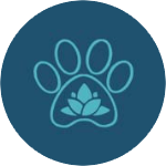 Canidétente - Bien-être et massage canin à Rognac (13)