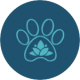 Canidétente - Bien-être et massage canin à Rognac (13)
